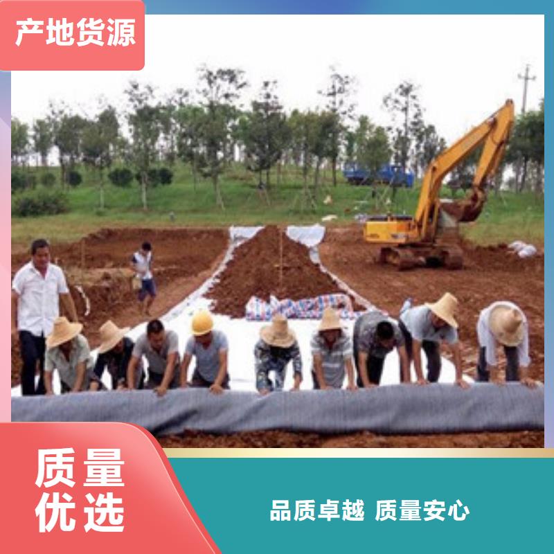 【膨润土防水毯】玻纤土工格栅专业按需定制