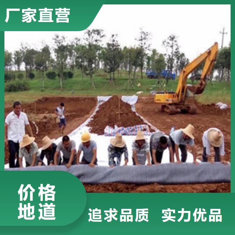 【膨润土防水毯塑料土工格栅好货直销】