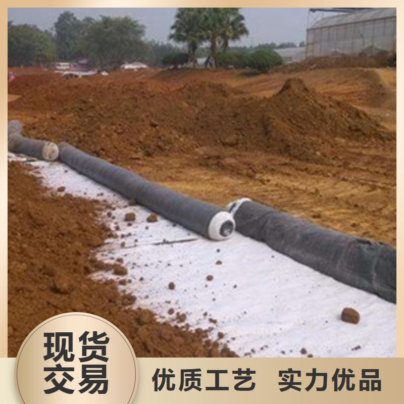 【膨润土防水毯】玻纤土工格栅N年生产经验