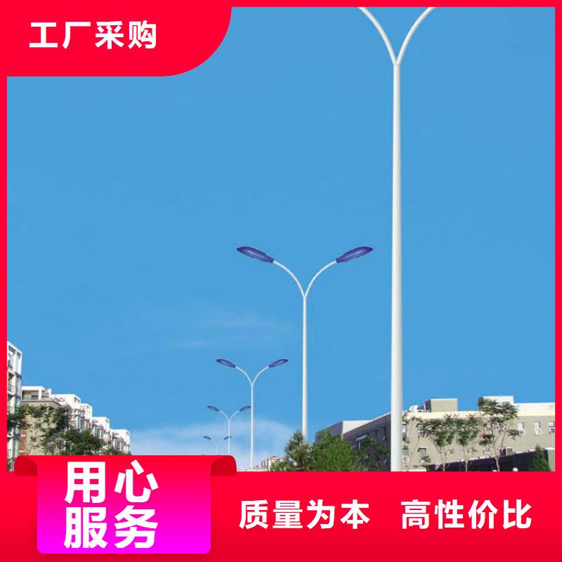 太阳能市电路灯匠心打造