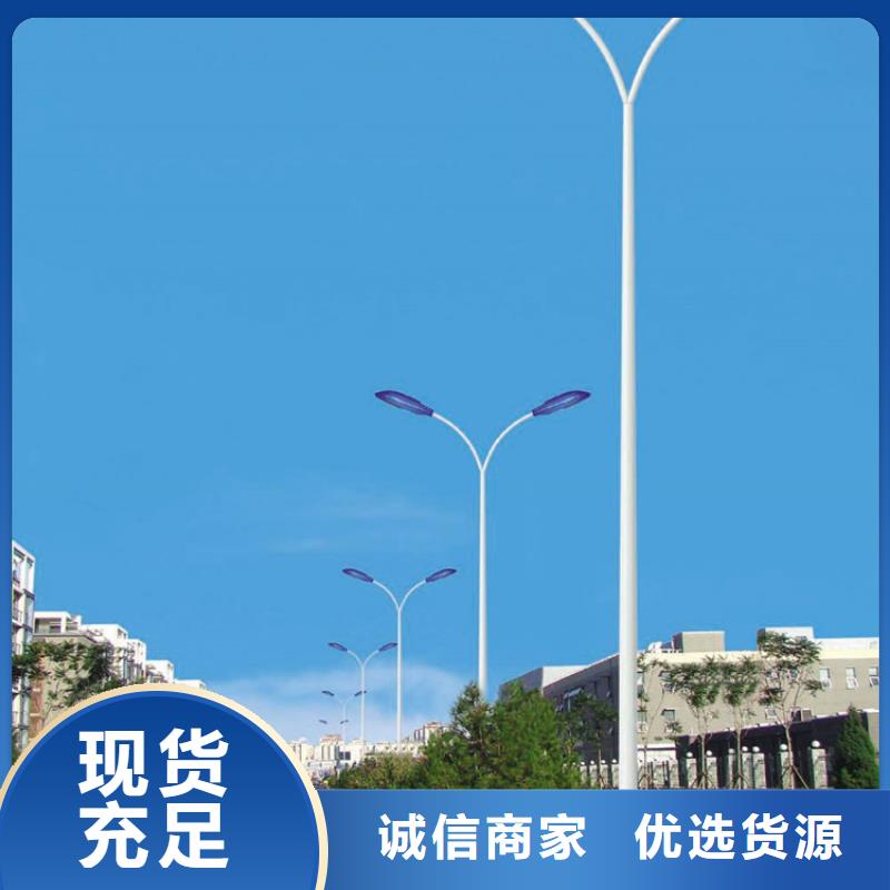 太阳能市电路灯研发生产销售