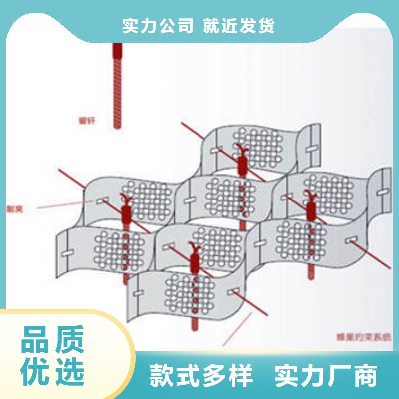 洪雅县蜂巢格室厂家