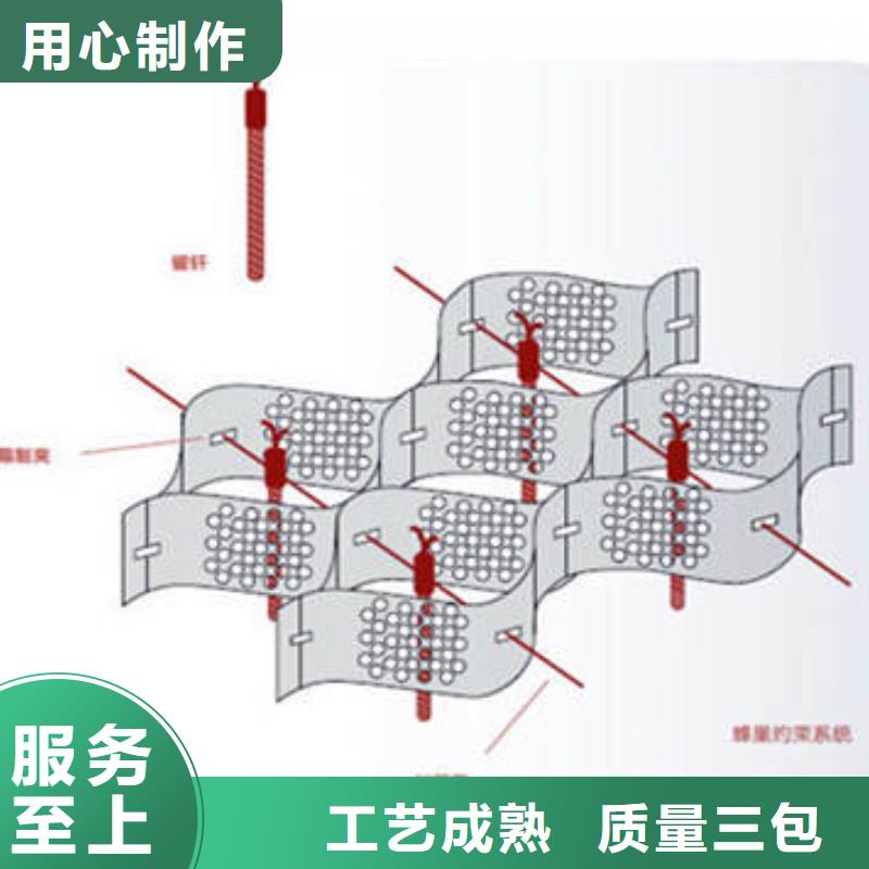 TGGS土工格室，源头厂家供应信息