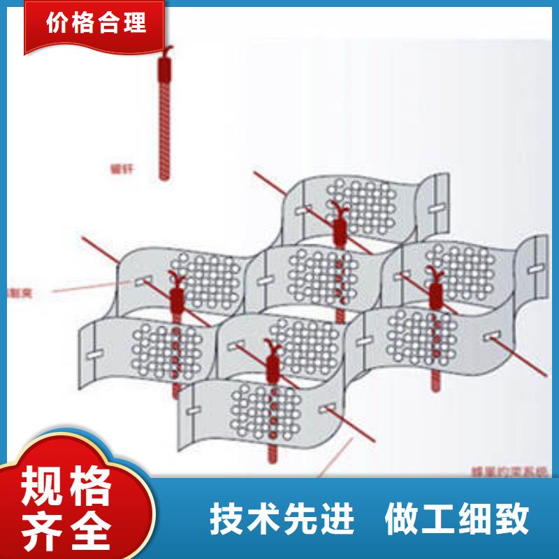 专业销售蜂巢格室护坡-优质