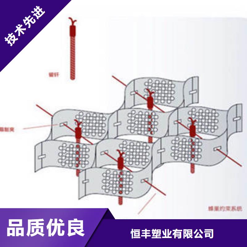 聊城蜂巢格室生态护坡哪个好-蜂巢格室生态护坡列表