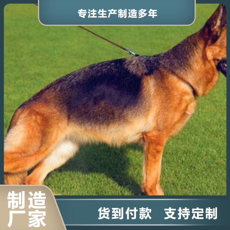 【德国牧羊犬】,杜宾犬设计制造销售服务一体