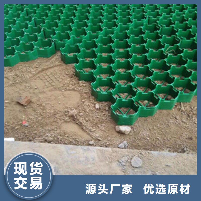 环保植草格蓄排水板厂家规格型号全