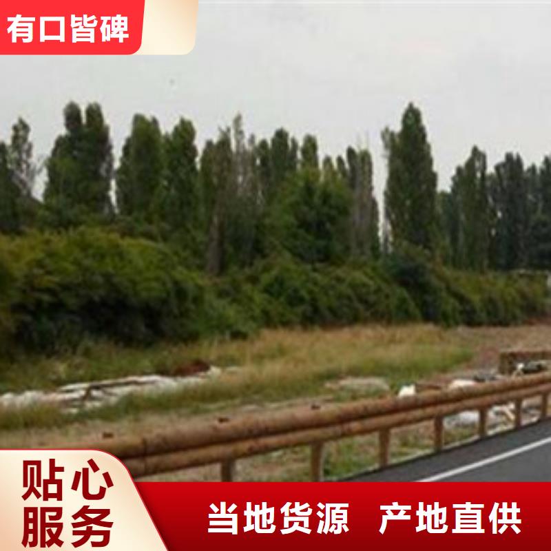 钢背木护栏-道路交通护栏现货快速采购