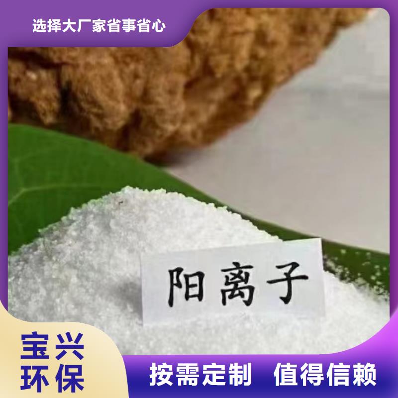 PAM阳离子精准沉淀