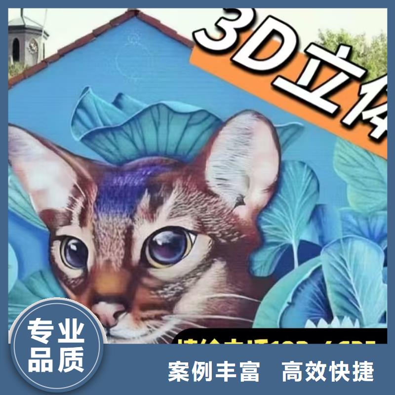 扬州墙绘手绘3D彩绘户外墙画实力公司