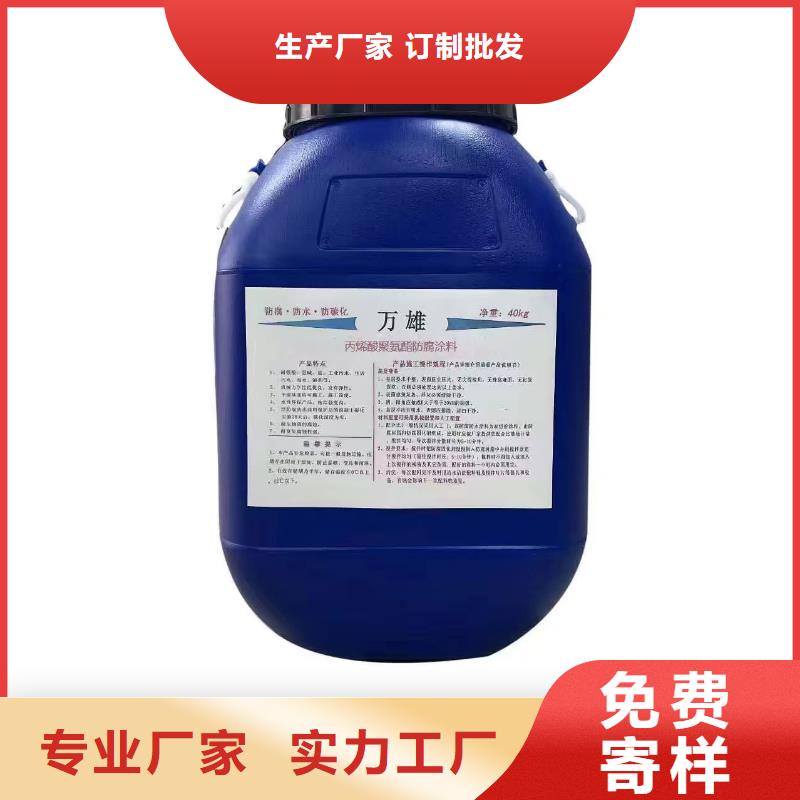 弹性重防腐特种涂料质量检测优选厂商高性能环氧互穿聚合物防腐防水涂料