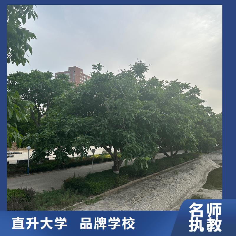 虎振学校大学师资